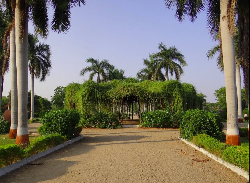 Ajwa Nimeta Garden, Ahmedabad to Baroda One way and Roundtrip Taxi